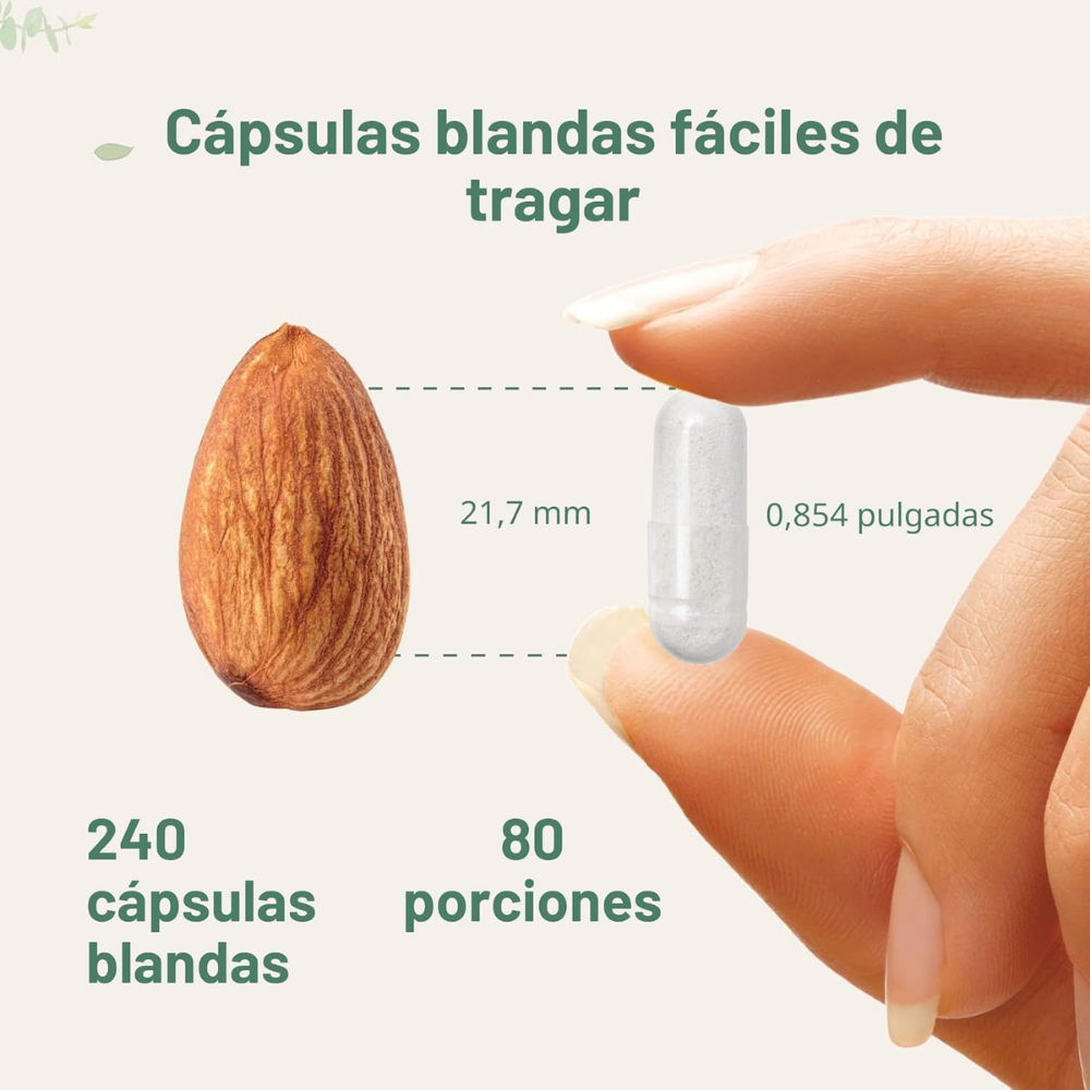 Suplementos - Multi Collagen Peptides Capsulas